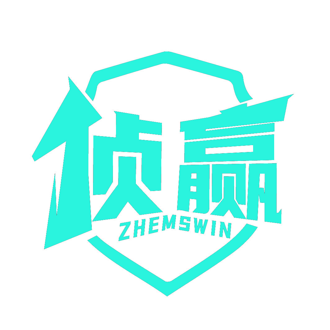 侦赢ZHEMSWIN