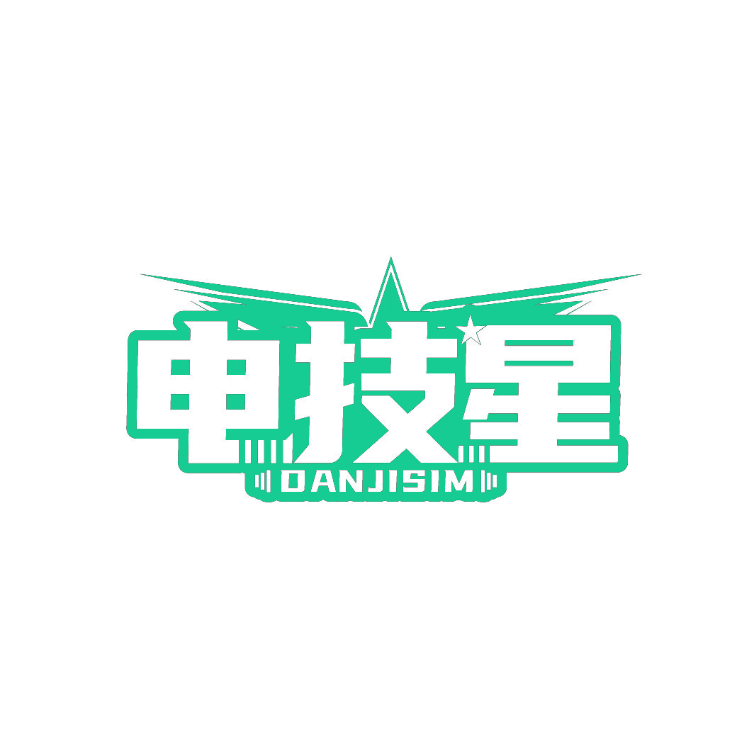 电技星DANJISIM