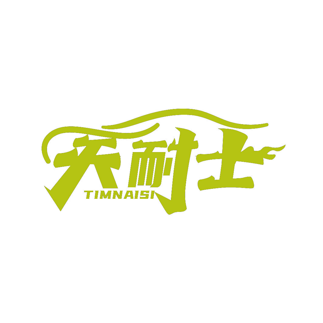 天耐士TIMNAISI