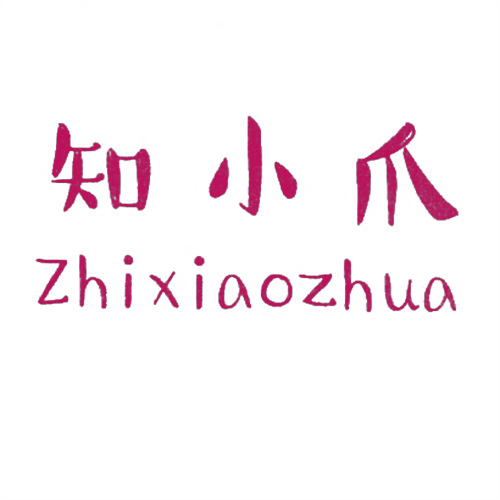 知小爪