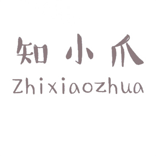 知小爪