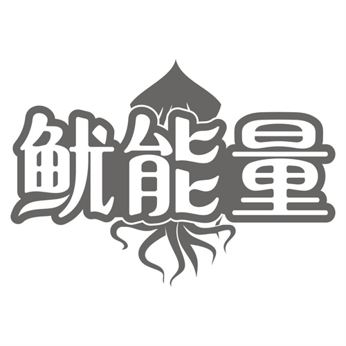 鱿能量