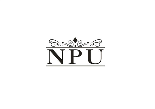 NPU