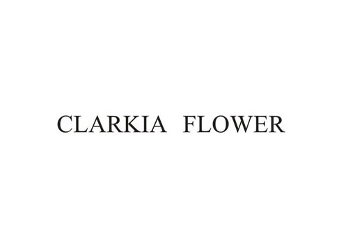 CLARKIAFLOWER