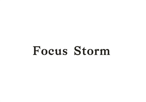 FOCUSSTORM