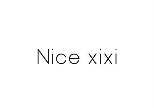 NICEXIXI