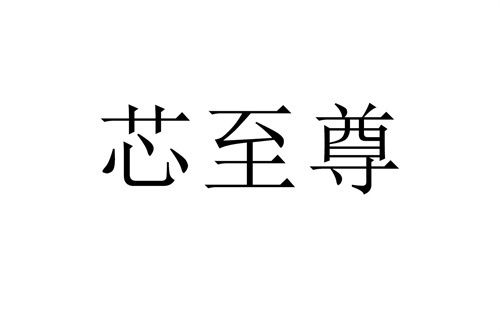 芯至尊