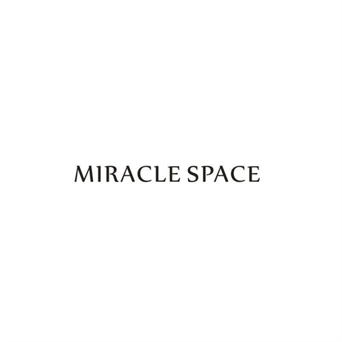 MIRACLESPACE