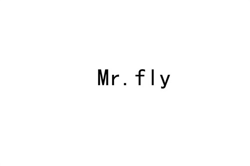 MR.FLY