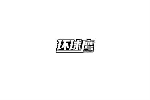 环球鹰