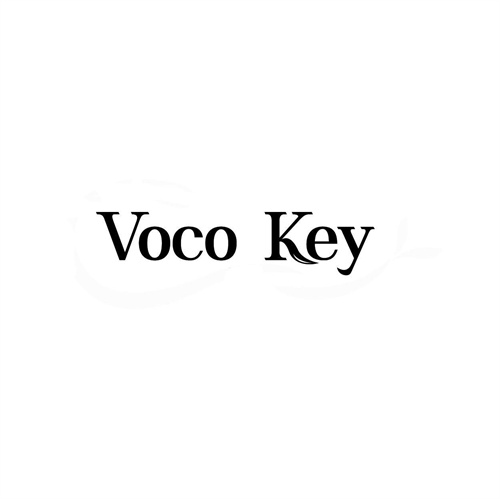 VOCOKEY