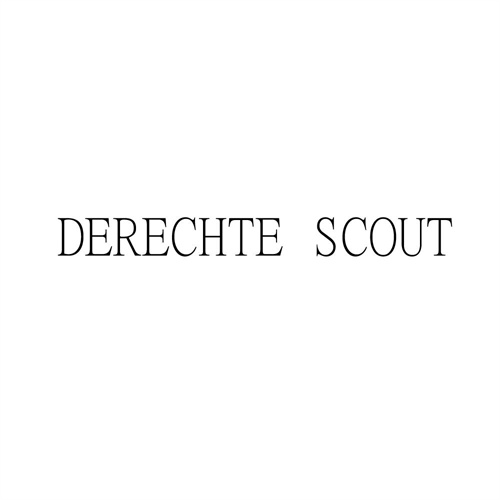 DERECHTESCOUT