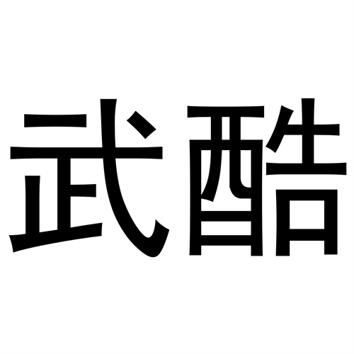 武酷