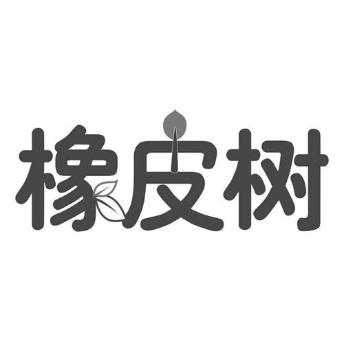 橡皮树