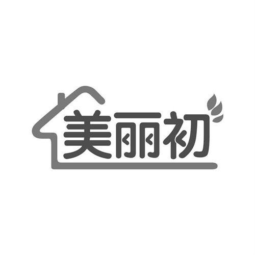 美麗初