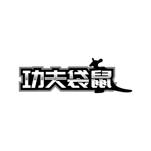 功夫袋鼠