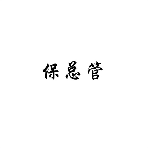 保總管
