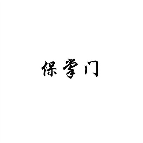 保掌門