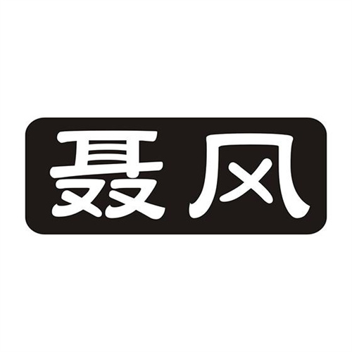 聶風