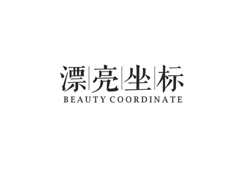 漂亮坐標