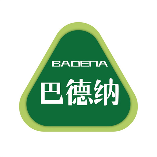 巴德納