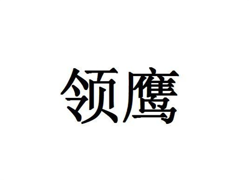 領(lǐng)鷹