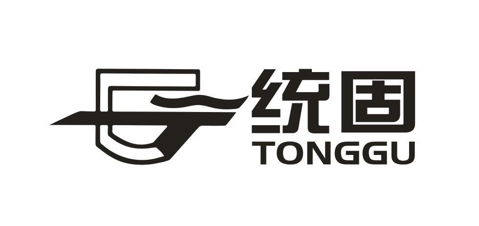 統固