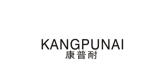 康普耐