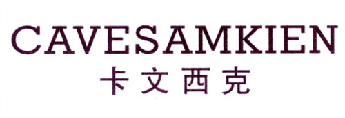 卡文西克