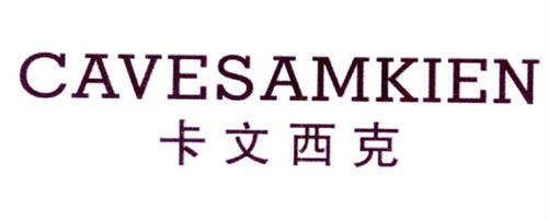 卡文西克