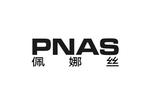 佩娜絲