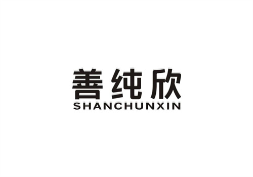 善純欣
