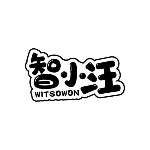 智小汪
