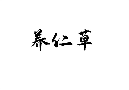 養(yǎng)仁草