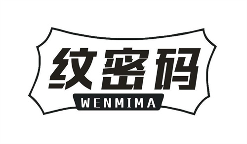 紋密碼