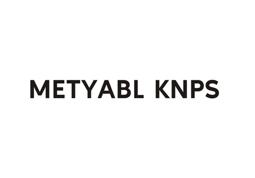 METYABLKNPS