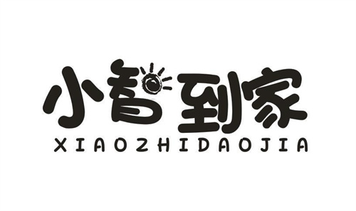小智到家