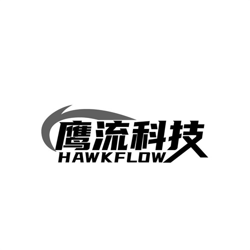 鷹流科技