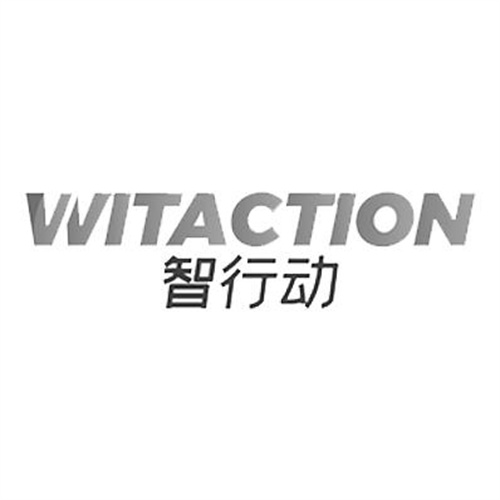 智行動