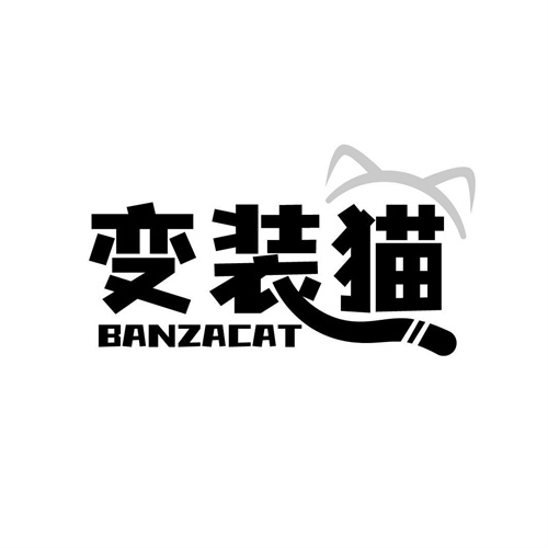 變裝貓
