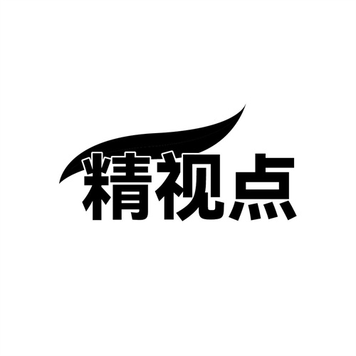 精視點