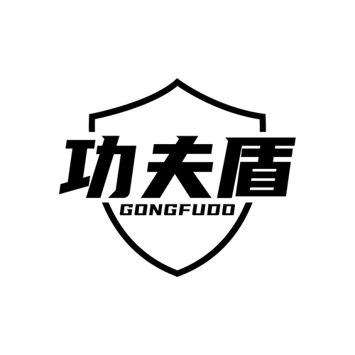 功夫盾