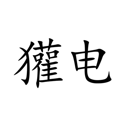 獾電