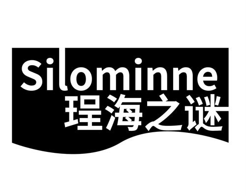 珵海之謎