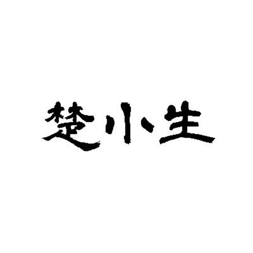楚小生
