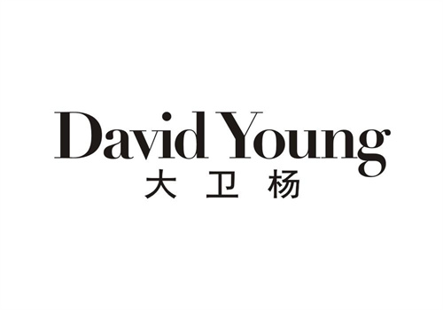 大衛(wèi)楊