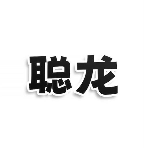 聰龍