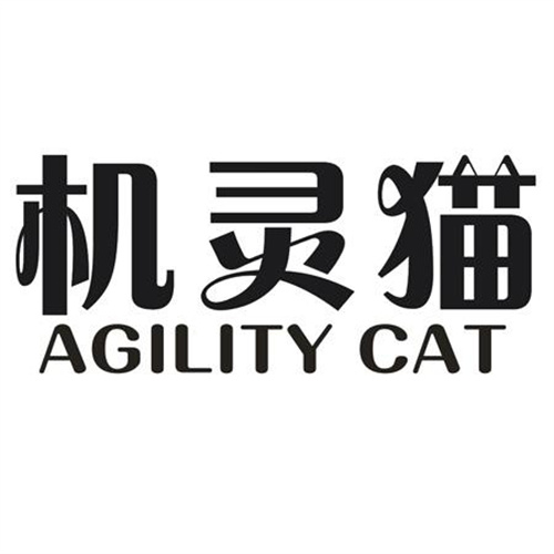 機靈貓