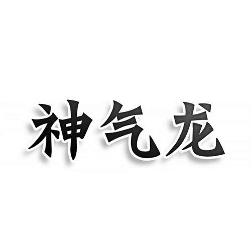 神氣龍