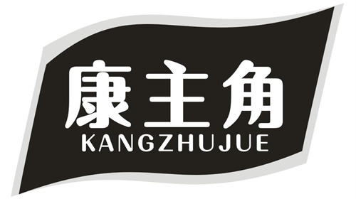 康主角